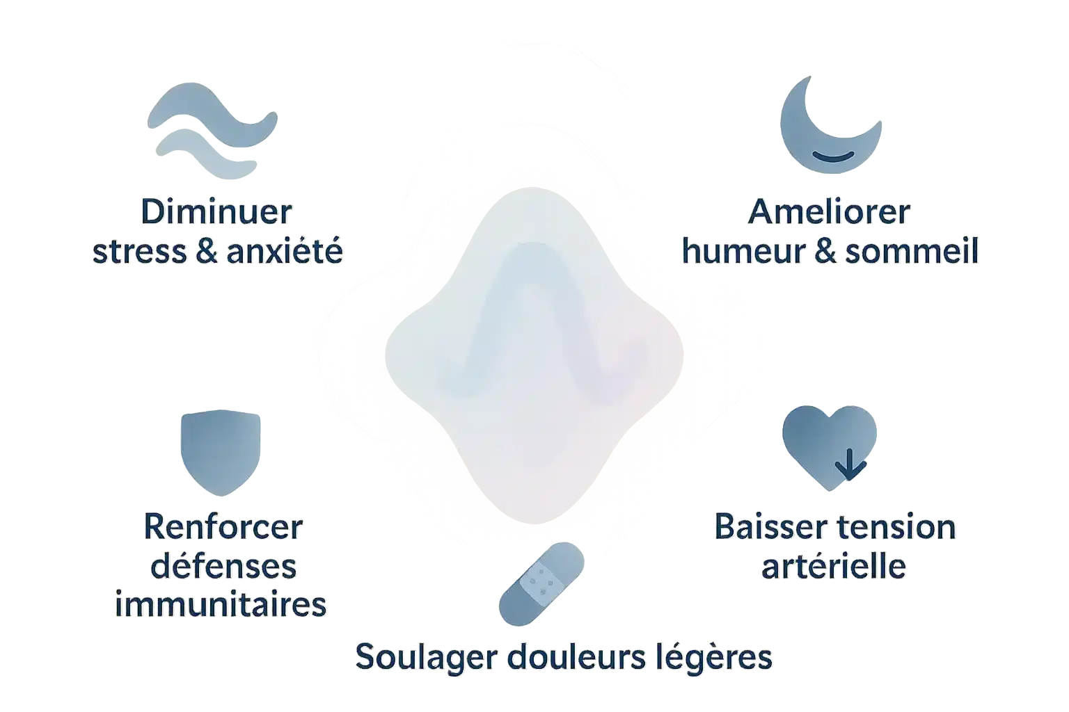 Chat ronronnant sur les genoux d'une personne, illustrant la ronronthérapie