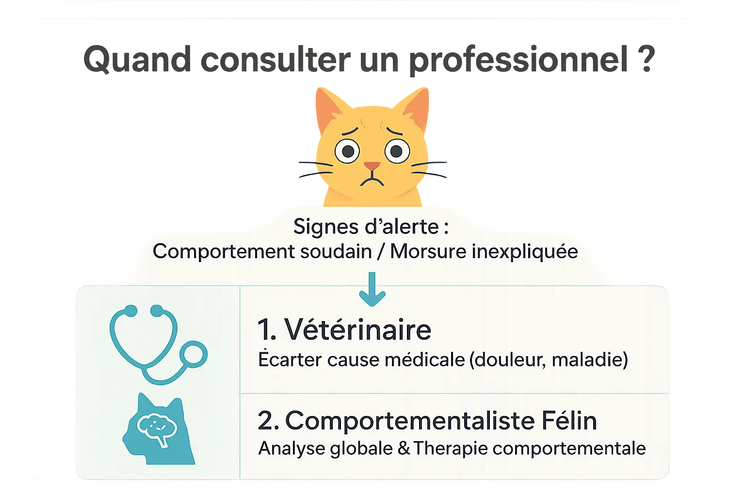 Chat stressé sur les genoux de son propriétaire