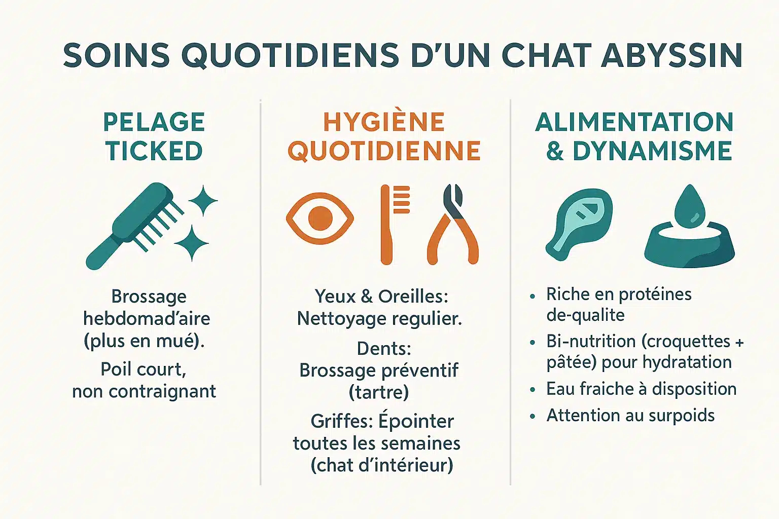 Chat Abyssin en train de se faire brosser