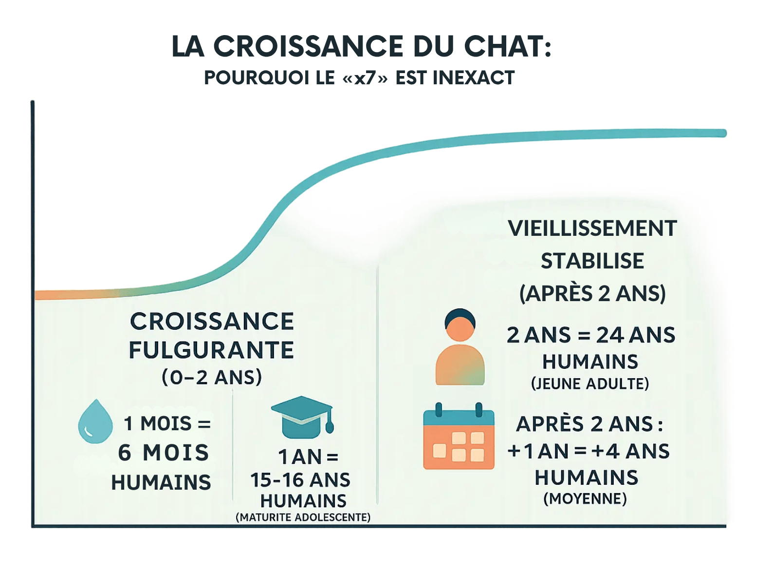 la croissance du chat