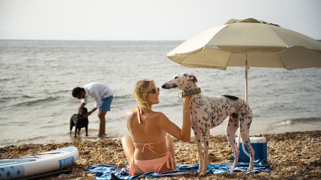 plage dog-friendly